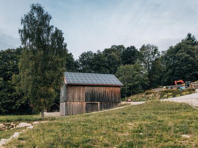 Ansicht vom Wald