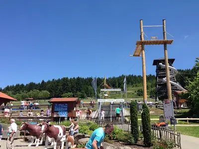 AreaSummer20KM