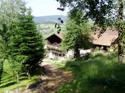 ExteriorSummer