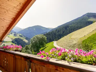Aussicht vom Ferienhaus [Sommer]