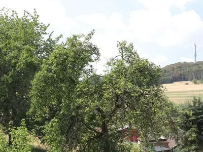 Ferienhaus für 10 Personen (140 m²) in Kolverath 4/10