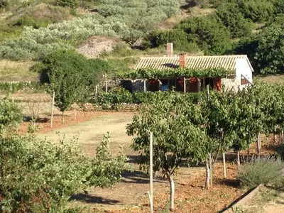 Ferienhaus für 4 Personen in Komiža 1/10