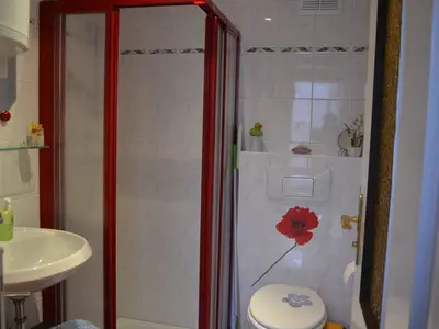 Ferienhaus für 4 Personen (52 m²) in Königstein/Sächsische Schweiz 6/10