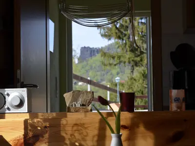 Ferienhaus für 4 Personen (52 m²) in Königstein/Sächsische Schweiz 9/10