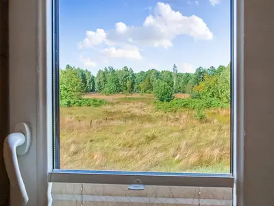 view-from-room