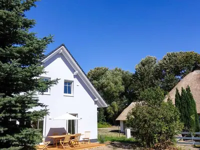 Ferienhaus für 8 Personen (120 m²) in Ribnitz-Damgarten 3/10
