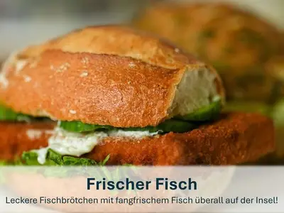 Ferienhaus für 4 Personen (35 m²) in Korswandt 7/10
