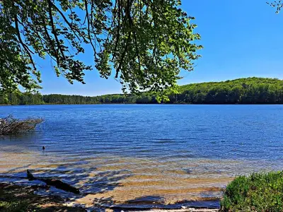 Ferienhaus für 3 Personen (40 m²) in Korswandt 5/10