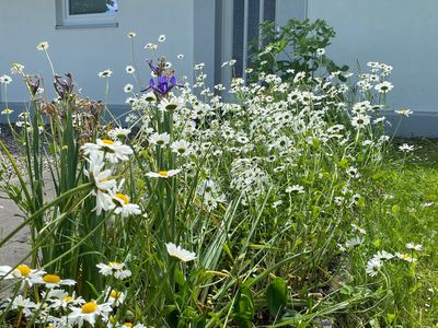 Ferienhaus für 5 Personen (97 m²) in Koselau 7/10