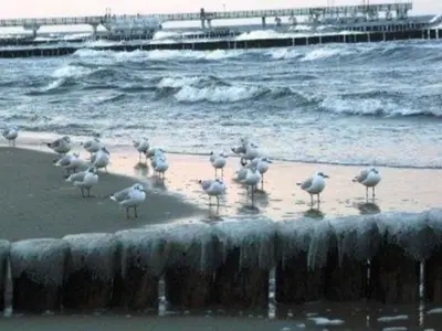 Ferienhaus für 5 Personen (60 m²) in Koserow (Seebad) 4/10