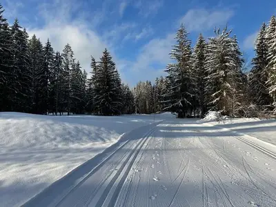 Bild3