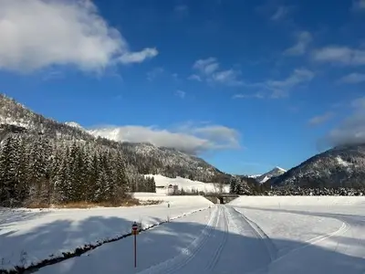 Bild4