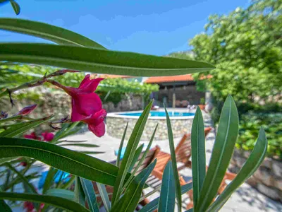 Ferienhaus für 6 Personen (112 m²) in Kostelj 3/10