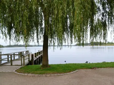 Ferienhaus für 3 Personen (60 m²) in Krakow am See 8/10