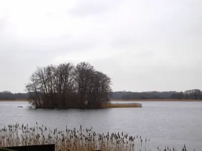 Ferienhaus für 2 Personen (35 m²) in Krakow am See 5/6