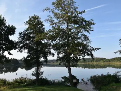 Ferienhaus für 5 Personen (103 m²) in Krakow am See 7/10