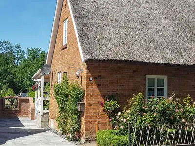 Ferienhaus für 3 Personen (55 m²) in Krakow am See 1/10
