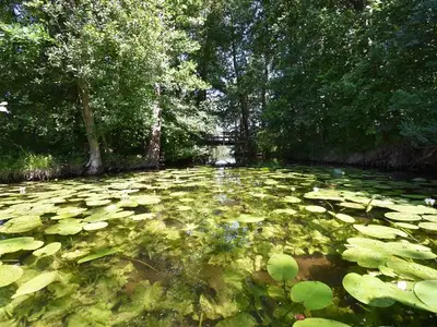 Ferienhaus für 6 Personen (113 m²) in Krakow am See 8/10