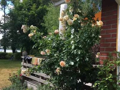 Ferienhaus für 5 Personen (76 m²) in Krakow am See 10/10