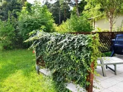 Ferienhaus für 4 Personen (64 m²) in Krakow am See 4/8