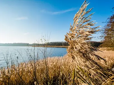 Ferienhaus für 5 Personen (113 m²) in Krakow am See 3/10