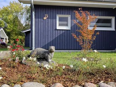 outside outside