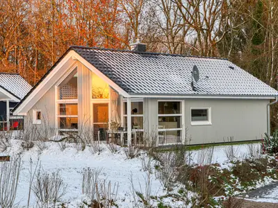 house house