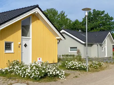 house house