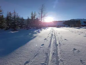 Ferienhaus für 11 Personen (140 m²) in Krimml