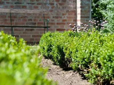 Ferienhaus für 10 Personen (140 m²) in Kröpelin 6/10