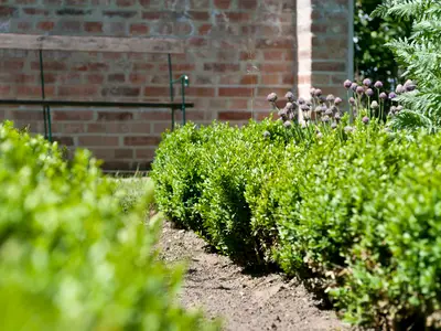 Ferienhaus für 10 Personen (140 m²) in Kröpelin 6/10
