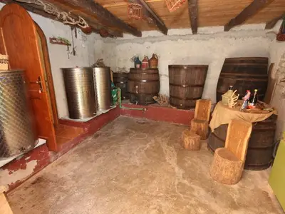 Ferienhaus für 6 Personen in Kršan 9/10