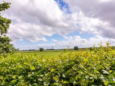 Gartenblick