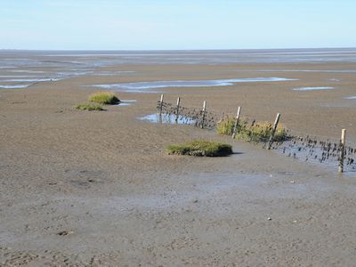 Wattenmeer