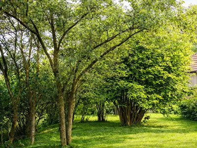 3d5b2755-b615-4a31-8703-02d831351389