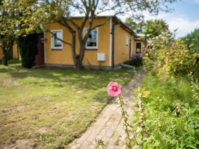 Ferienhaus für 4 Personen (50 m²) in Krummin 3/10
