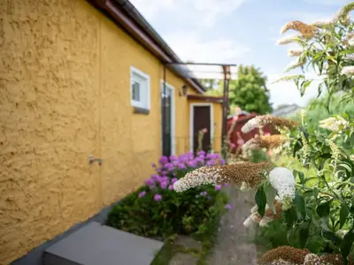 Ferienhaus für 4 Personen (50 m²) in Krummin 4/10