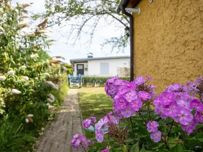 Ferienhaus für 4 Personen (50 m²) in Krummin 6/10