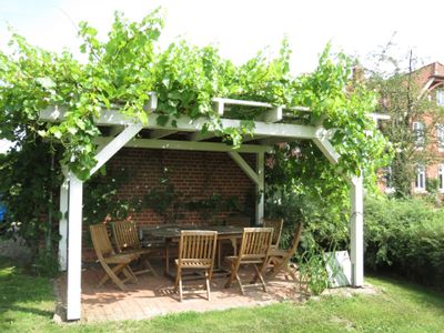 Garten. Weinlaube  natürlicher Schattenspender