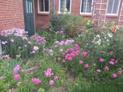 Sommerblüte im Bauerngarten, Ostseite