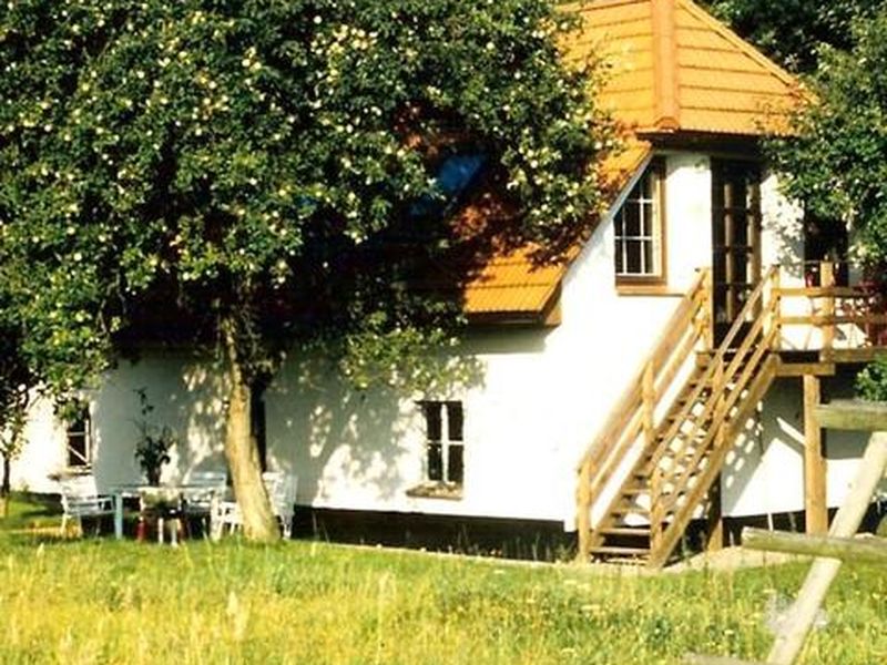 18993291-Ferienhaus-4-Kuchelmiß-800x600-2