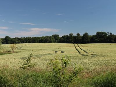 Ferienhaus für 4 Personen (75 m²) in Kuchelmiß 1/10