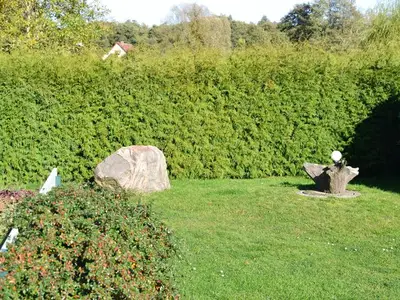 Ferienhaus für 7 Personen (85 m²) in Ahrenshagen 6/10