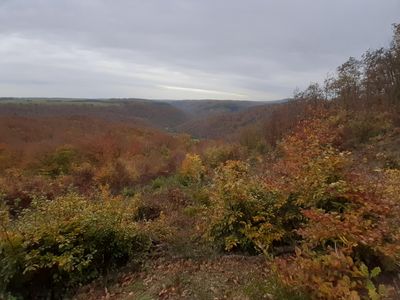 Hunsrück im Herbst