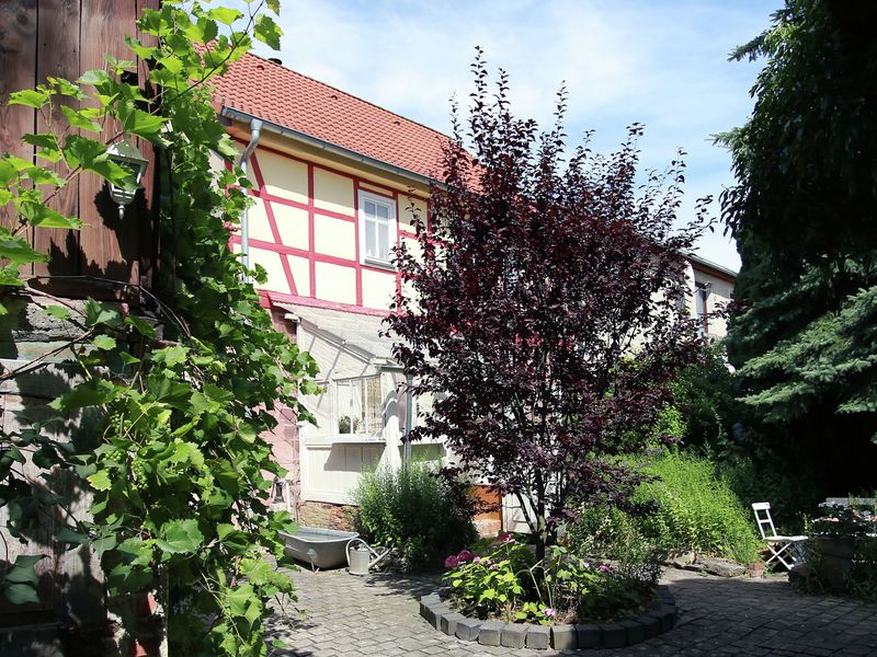 19340435-Ferienhaus-6-Kyffhäuserland-800x600-1