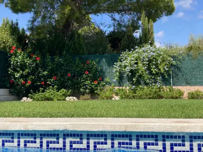 Garten, Sicht vom Pool