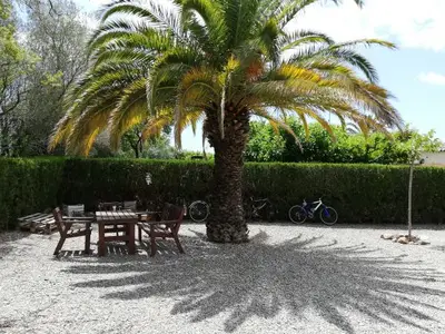Bild 7