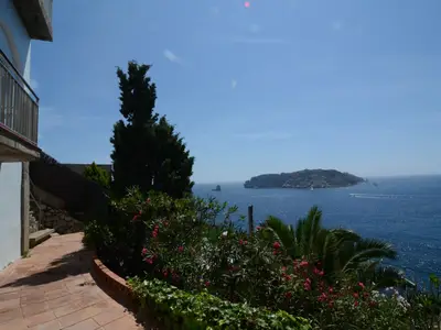 ViewSummer