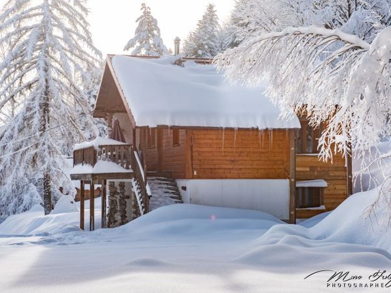 19920281-Ferienhaus-8-La Bresse-800x600-0