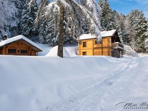 Ferienhaus für 8 Personen (72 m²) in La Bresse